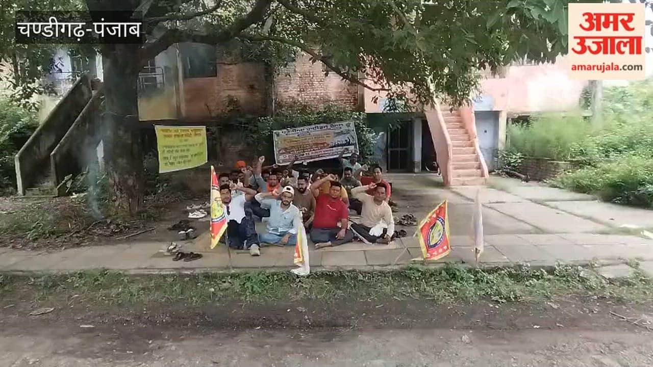 Protest by electricity department's contractual employees continues for the 14th day.