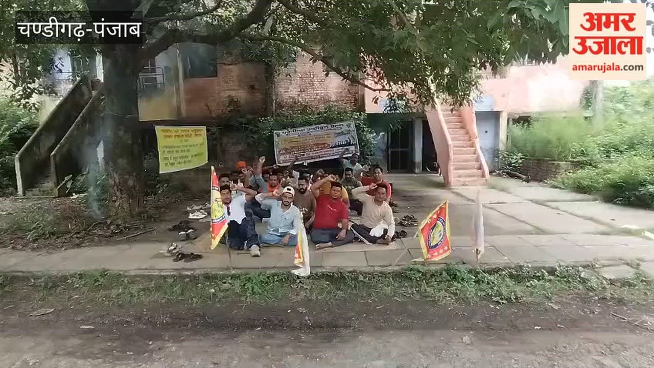 Protest by electricity department's contractual employees continues for the 14th day.
