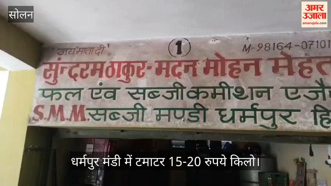 himachal tomato price dharampur mandi farmers bangalore supply