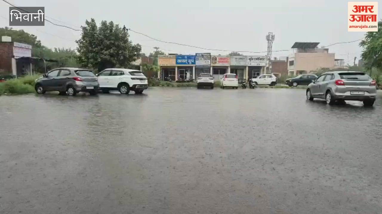 Bhiwani's weather turned pleasant due to heavy rainfall; the rain proved to be a boon for the crops.