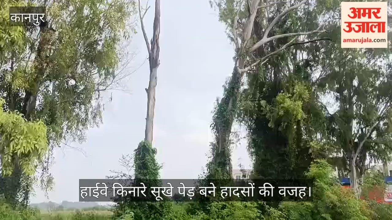 kanpur-highway-dry-trees-risk-rainy-season