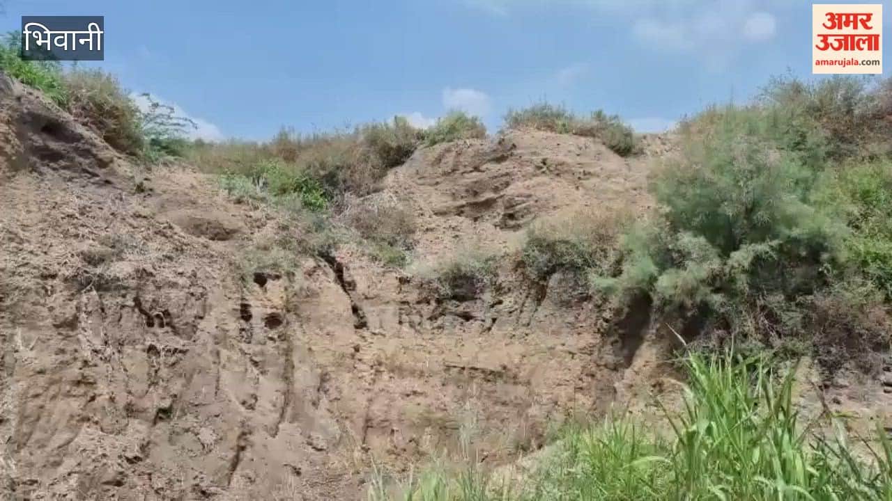 Remains of the Harappan-era Indus Valley Civilization have been found at five locations in Bhiwani district; the heritage is now in danger.