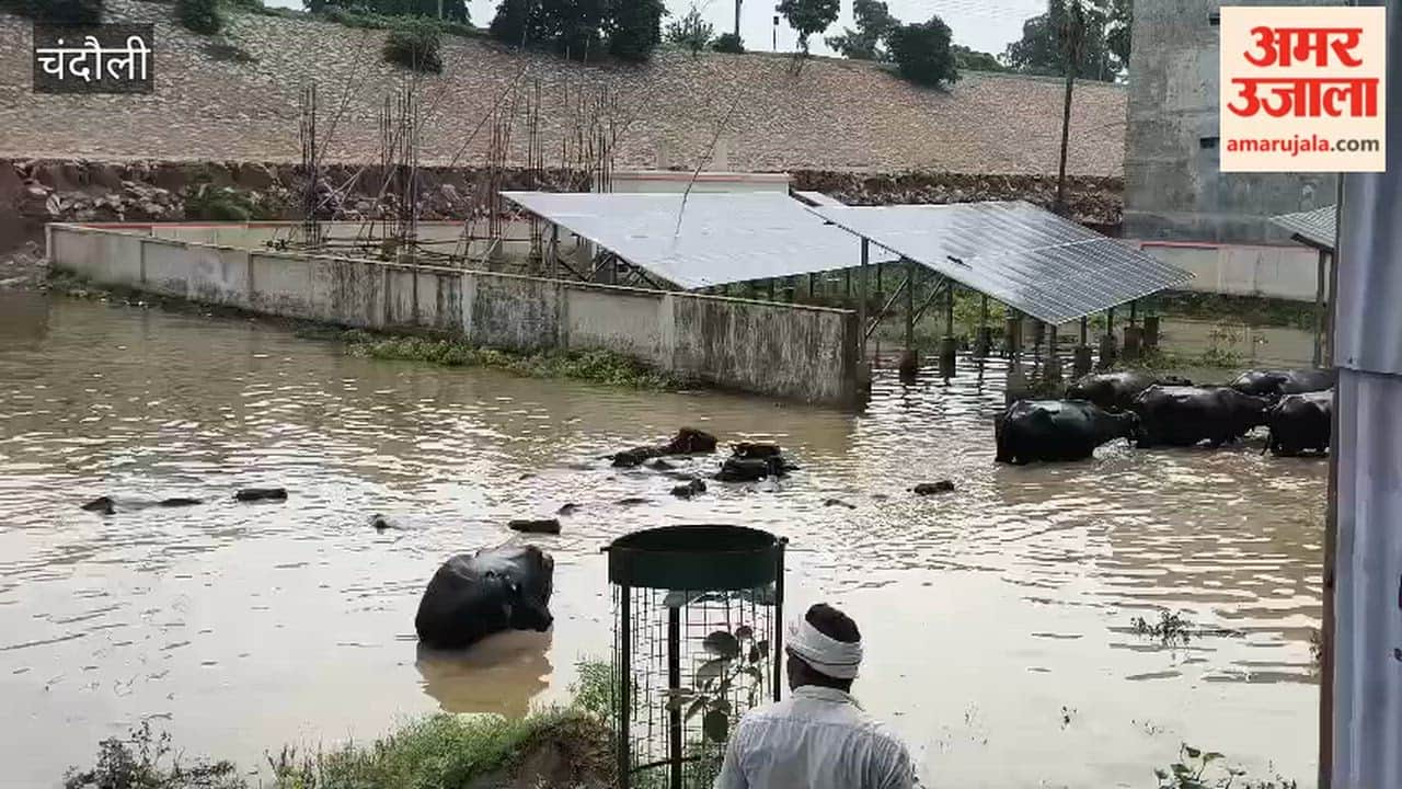 Waste disposal center submerged in rain; villagers distressed by incomplete water tank