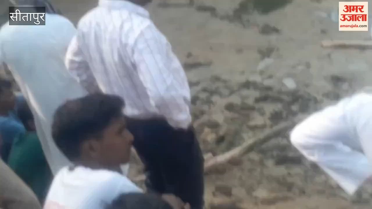 सीतापुर में मगरमच्छ दिखने से हड़कंप, वन विभाग की टीम ने किया रेस्क्यू