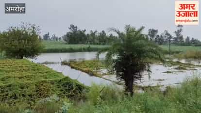 Ganga's water level rose by 20 cm following the release of 211,006 cusecs of water from the Bijnor Barrage.