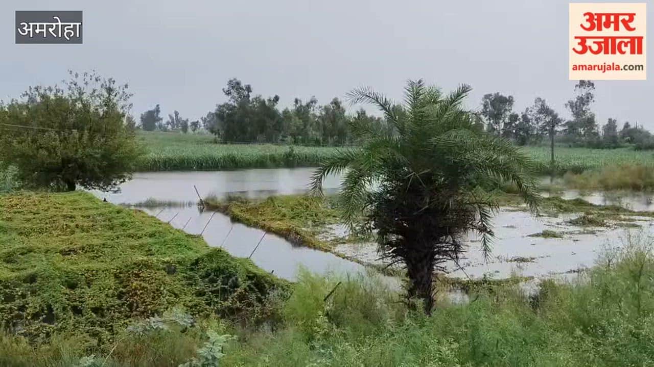 Ganga's water level rose by 20 cm following the release of 211,006 cusecs of water from the Bijnor Barrage.