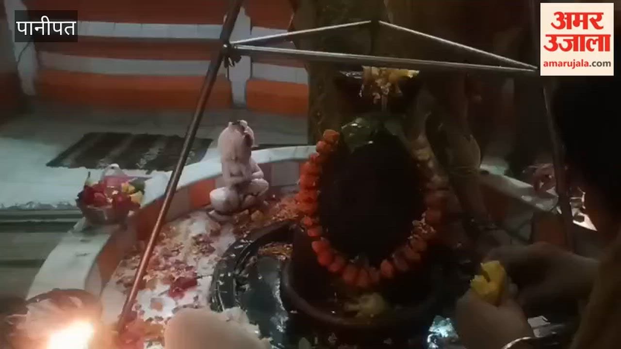 Surge of devotion at Panipat's Shiva temples on a Saturday in the month of Sawan Temples resounded with chants of 'Har-Har Mahadev'