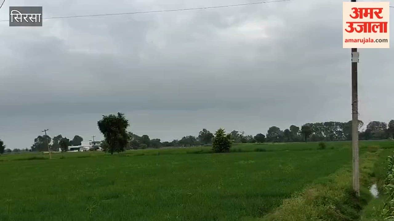 Weather takes a turn in Sirsa; morning rain brings relief from humidity.