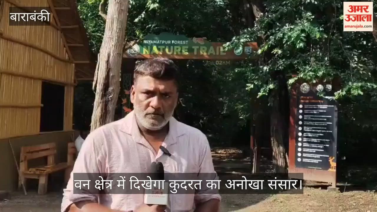 Video: वन क्षेत्र में दिखेगा कुदरत का अनोखा संसार, 132 प्रजातियों के पक्षी और करीब 400 हिरन बनेंगे आकर्षण