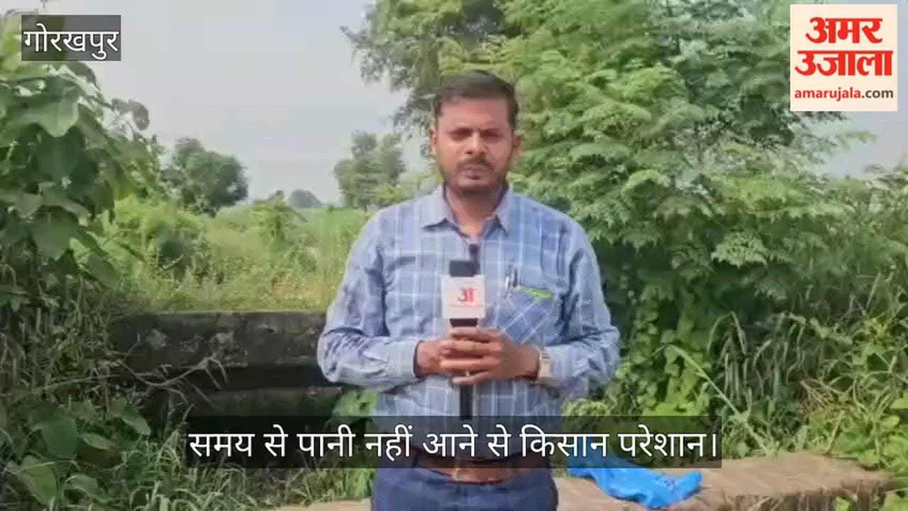 No water in the canal, paddy crop on the verge of withering—farmers distressed.