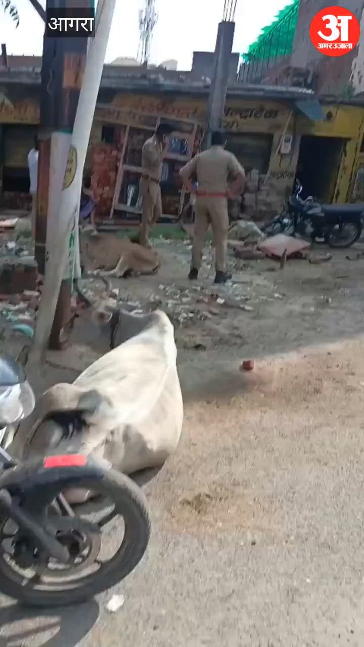 VIDEO: परिजन से हुआ विवाद, छत पर चढ़ गया युवक; छह घंटे तक हाईवोल्टेज ड्रामा