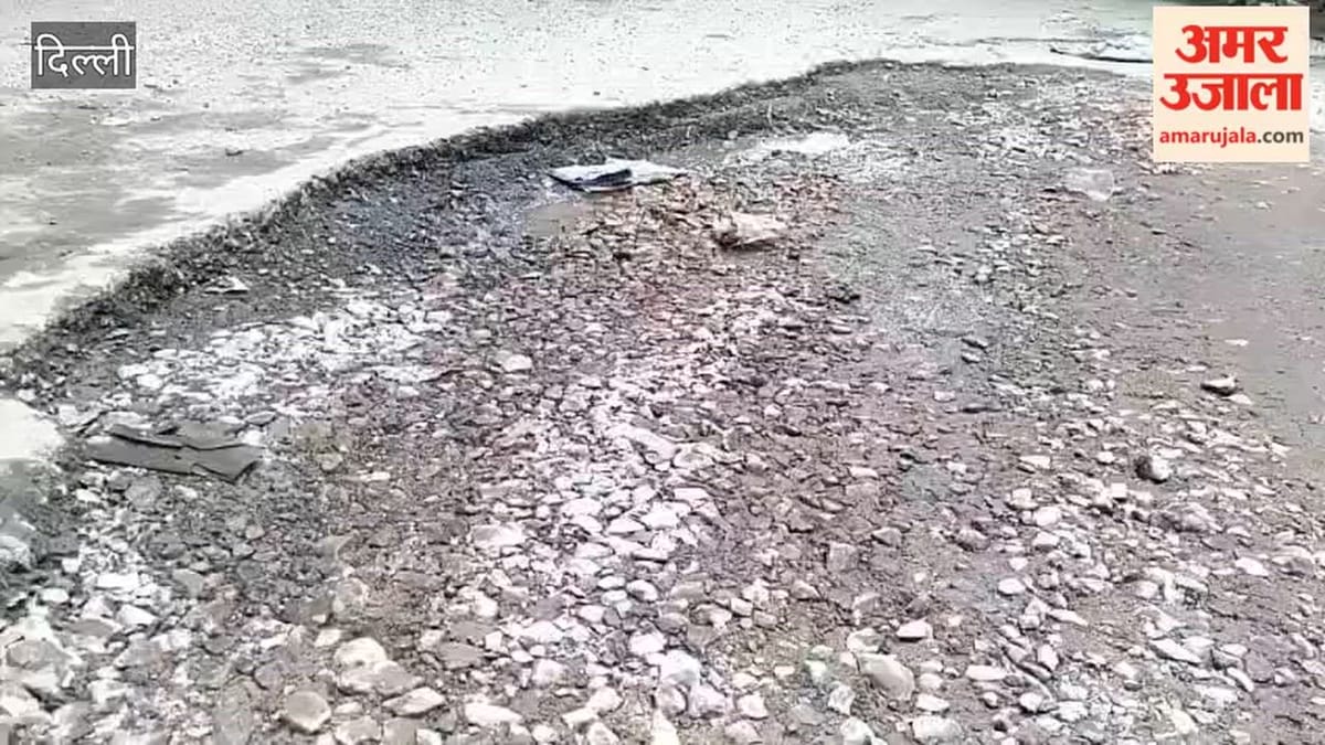 सड़क में गड्ढे या गड्ढों में सड़क...?, बारिश के बाद दिल्ली की सड़कों का हाल