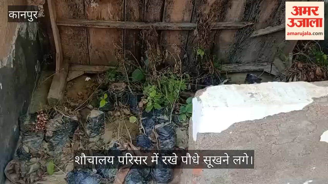 Kanpur-Kalyanpur-Gambhirpur-Plantation-Saplings-Drying-In-Community-Toilet