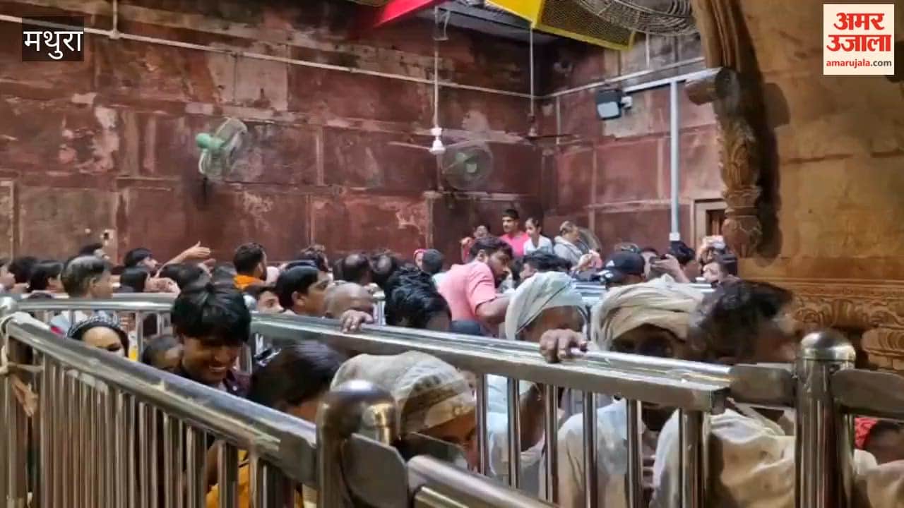 massive crowd of devotees thronged Banke Bihari Temple on Kamada Ekadashi