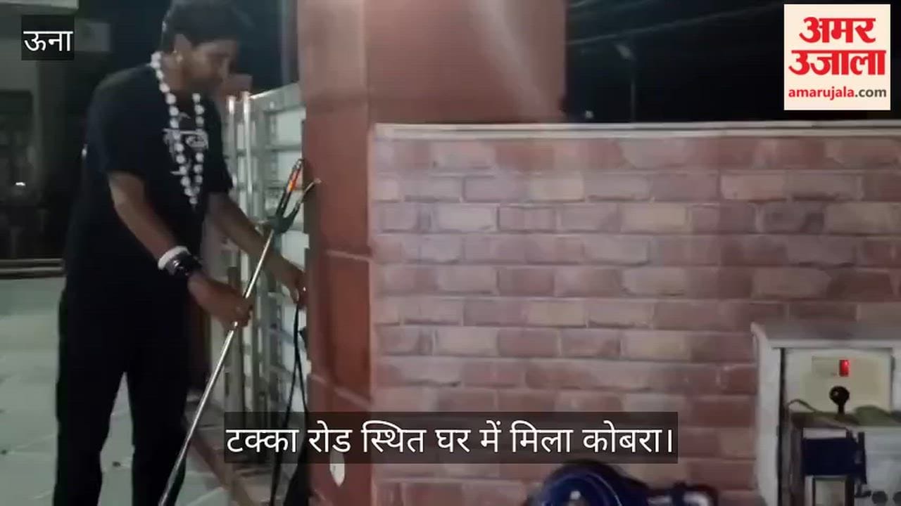una takka road cobra found house motor snake rescue