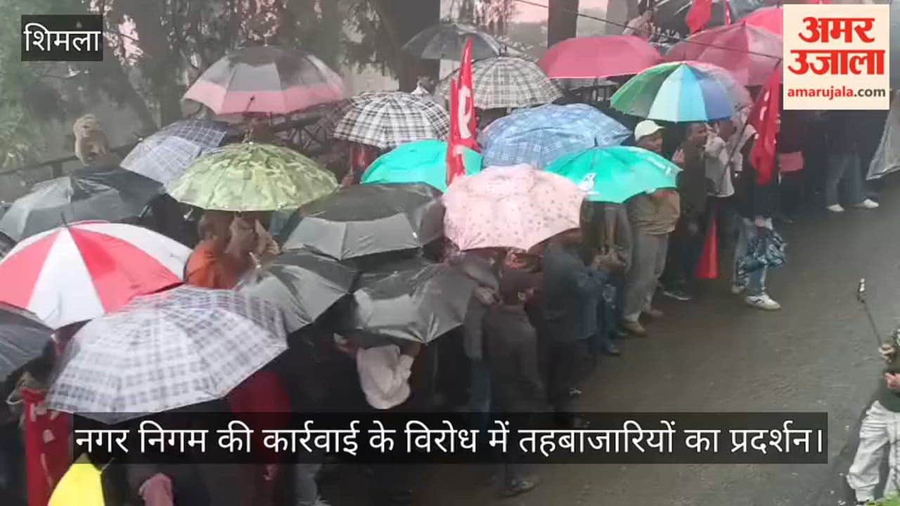 shimla street vendors protest municipal corporation action