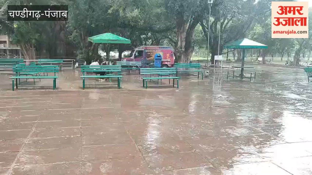 Rain in chandigarh