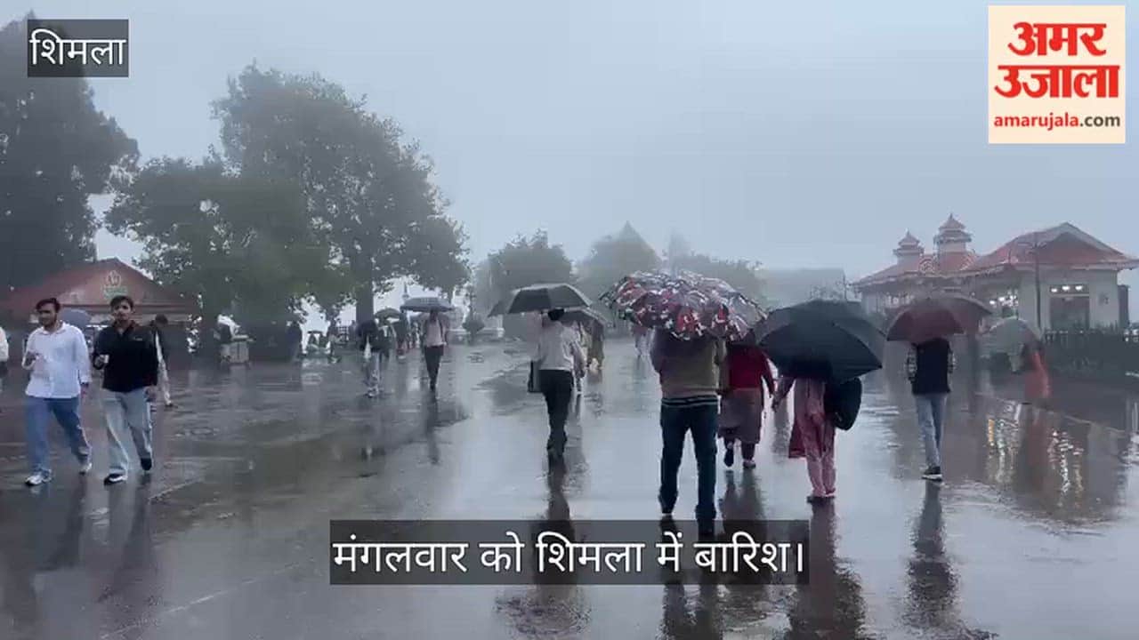 shimla rain weather update himachal heavy rain alert august 11 2026