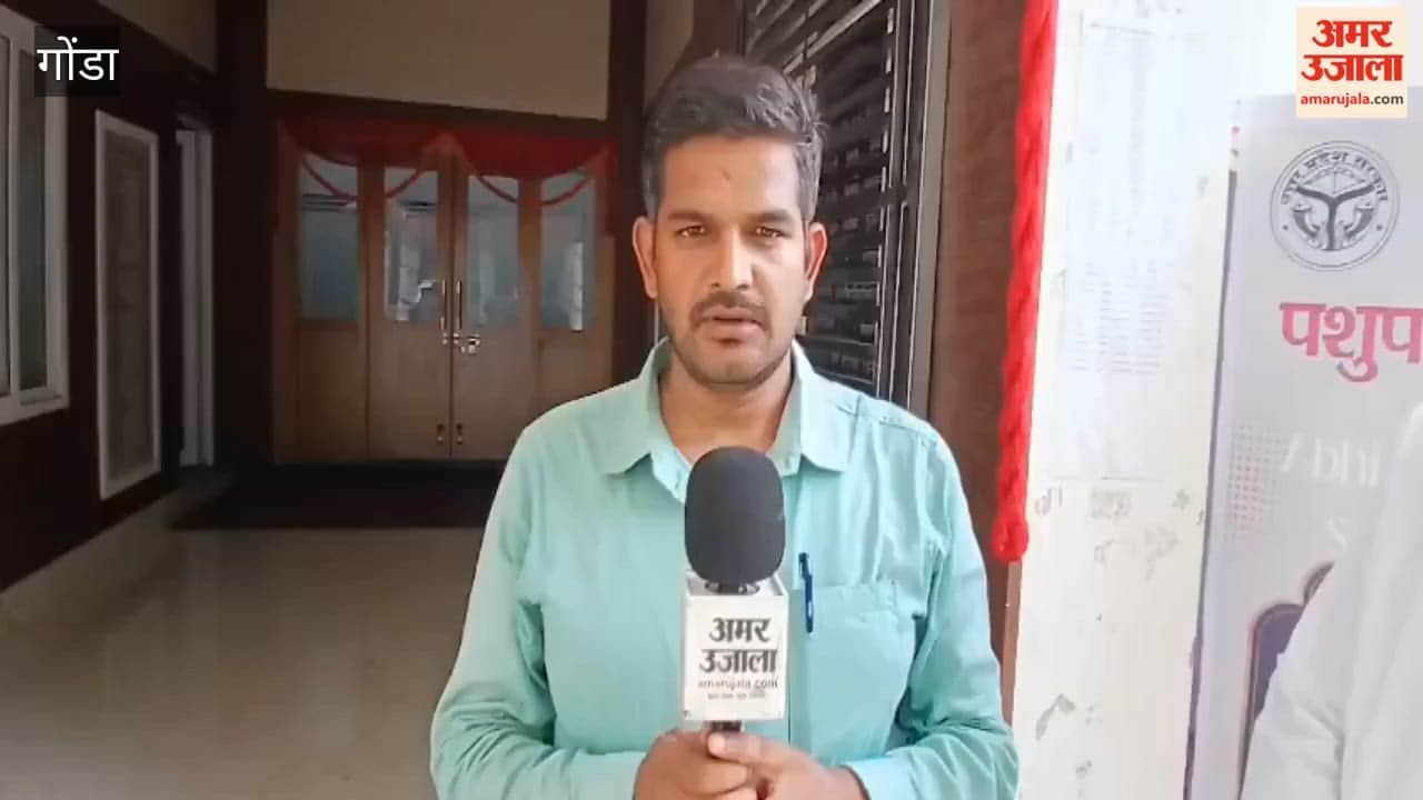 यूपी में अंडों की मांग-उत्पादन में भारी अंतर, गोंडा में पोल्ट्री कारोबार को मिलेगा बढ़ावा