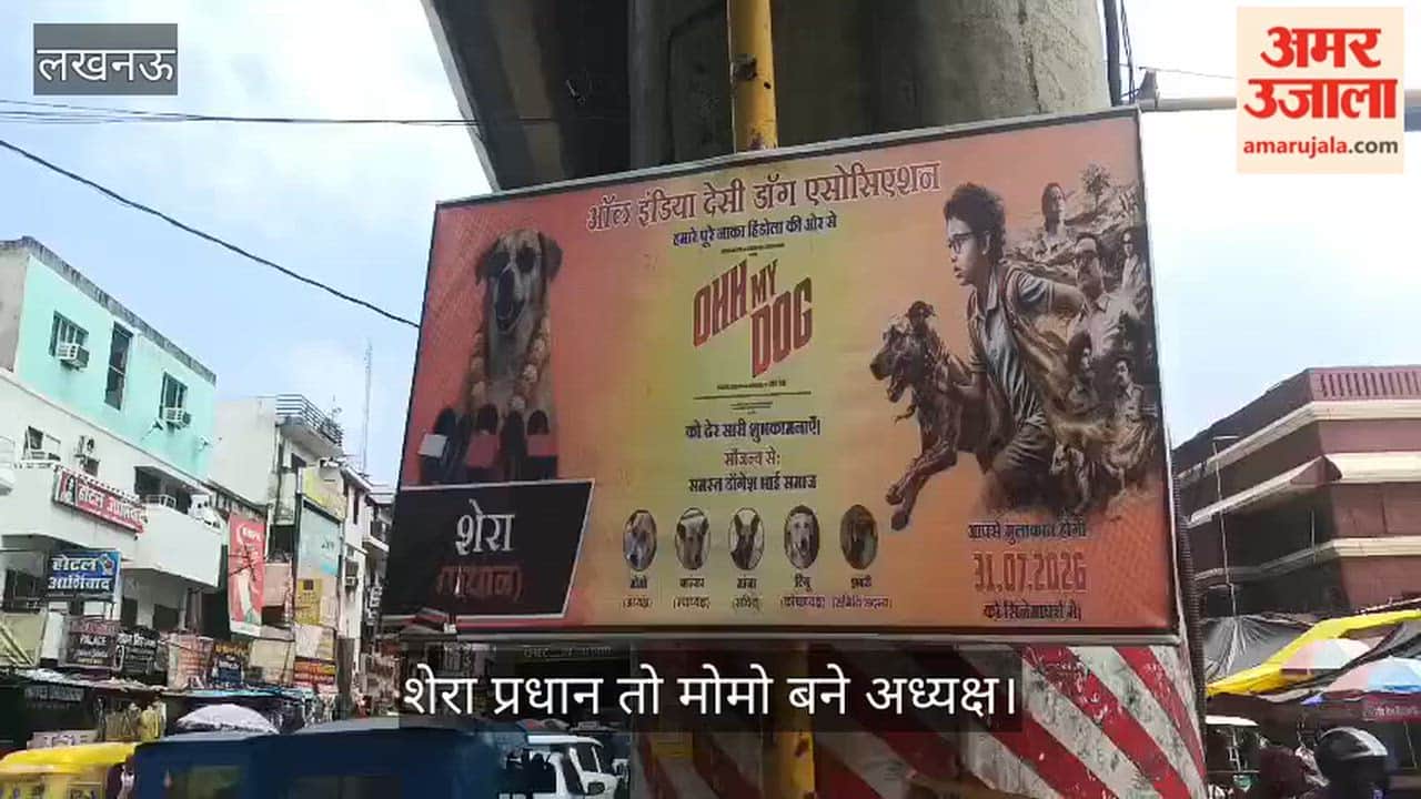 Video: लखनऊ में स्ट्रीट डॉग्स की बनी ‘यूनियन’, शेरा प्रधान तो मोमो बने अध्यक्ष
