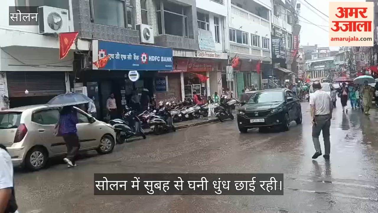 solan weather fog rain temperature drop crop damage