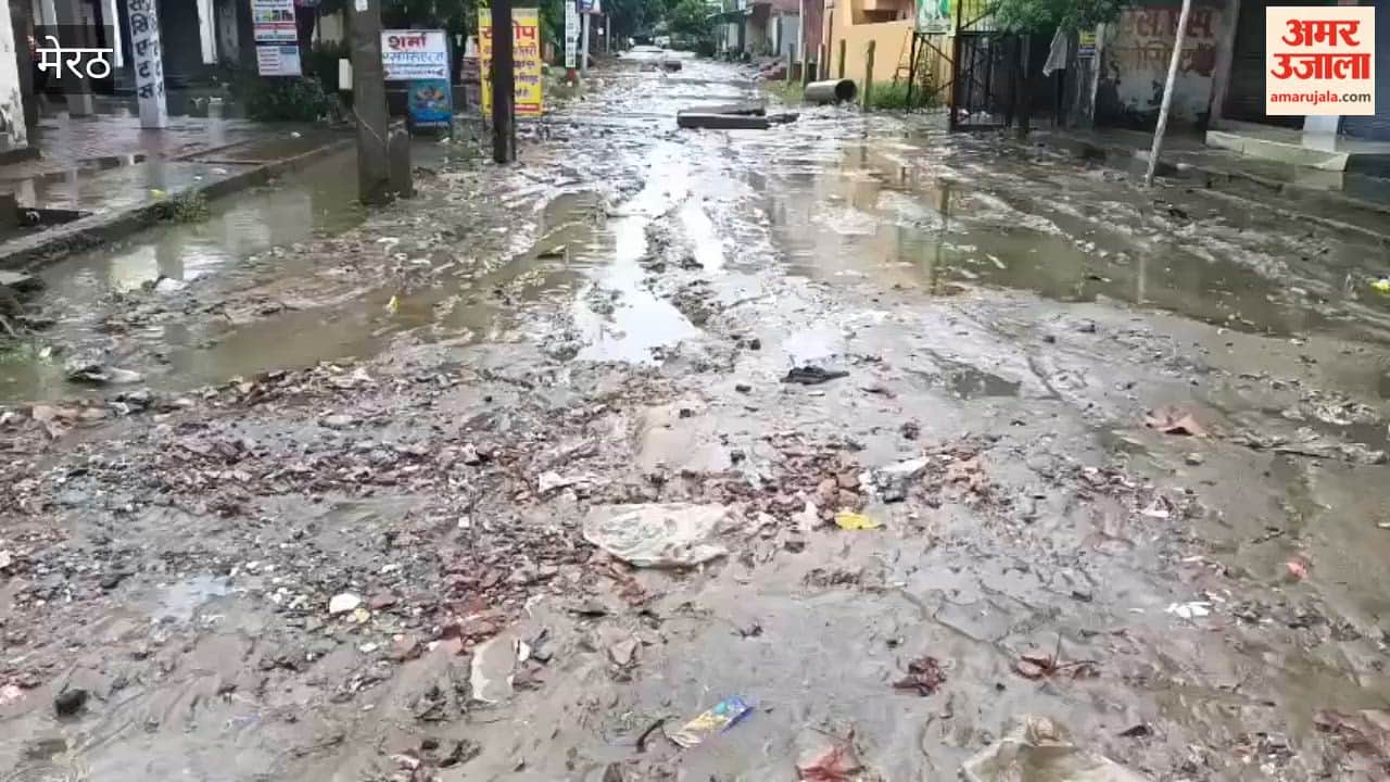 Meerut: Heavy Waterlogging in Shastri Nagar After Rain, Water Enters Homes and Shops