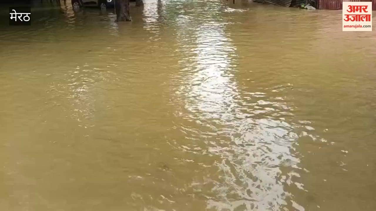 Meerut: Waterlogging at Medical College Leaves Attendants Struggling