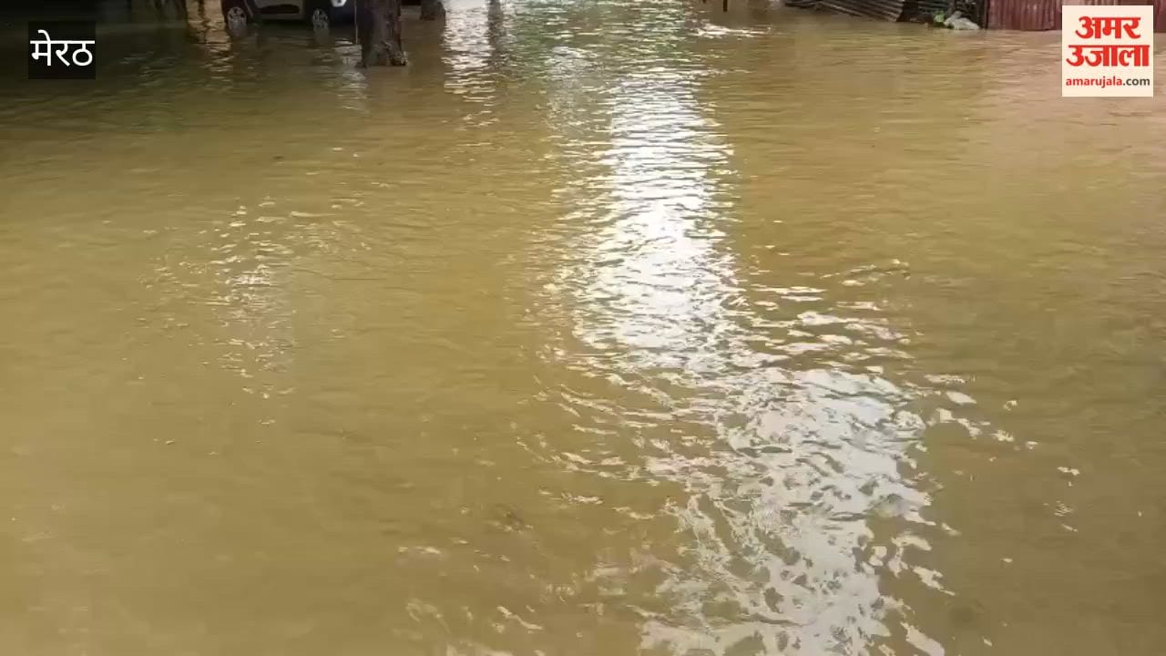 Meerut: Waterlogging at Medical College Leaves Attendants Struggling