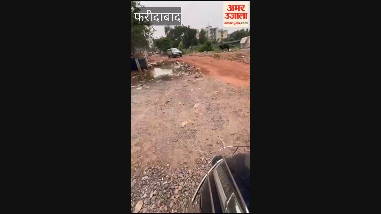 VIP society remains waterlogged despite potholes being filled in Faridabad