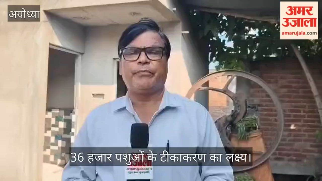 VIDEO: रूदौली में पांच भैंसों की गलाघोंटू से मौत, 36 हजार पशुओं के टीकाकरण का लक्ष्य