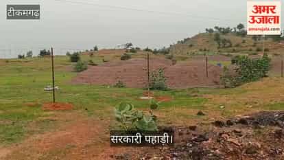 Attempt to encroach upon a government hill under the guise of tree plantation; Tehsildar arrives at the site.