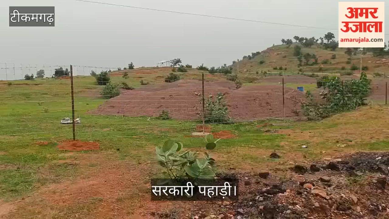 Attempt to encroach upon a government hill under the guise of tree plantation; Tehsildar arrives at the site.