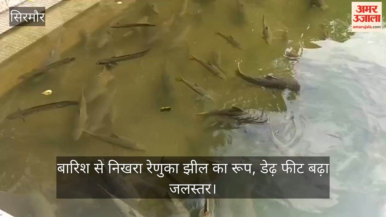 Sirmaur: Rain enhances the beauty of Renuka Lake; water level rises by 1.5 feet.