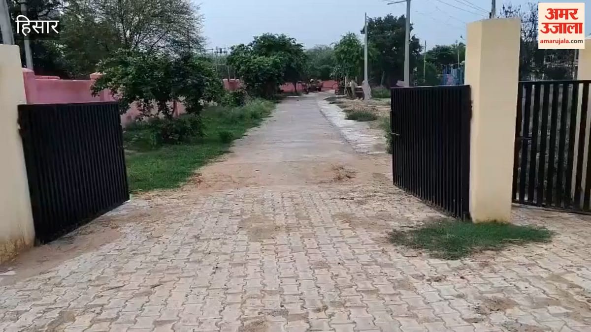 हिसार: महाग्राम का दर्जा मिलने के छह साल बाद भी गांव नंगथला में समस्याओं का अंबार