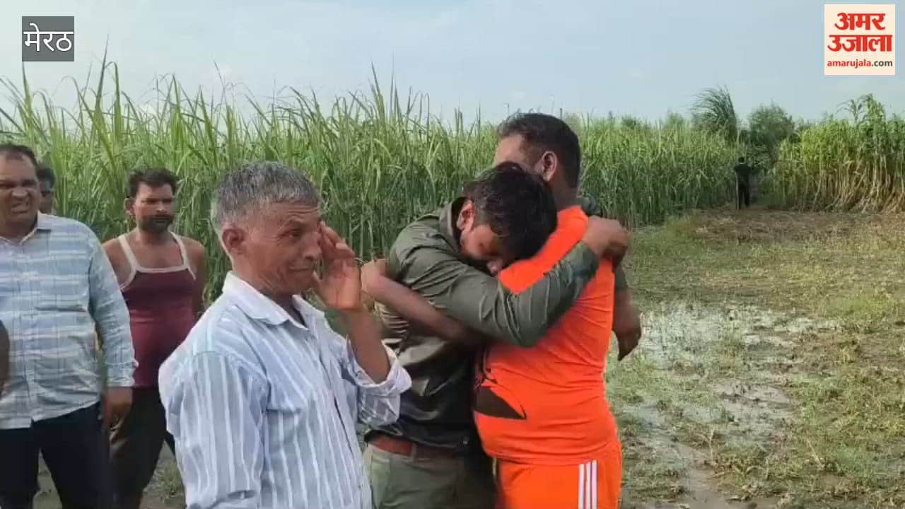 Meerut: Dogs mauled and ate a grandfather in front of his grandson; villagers created an uproar.