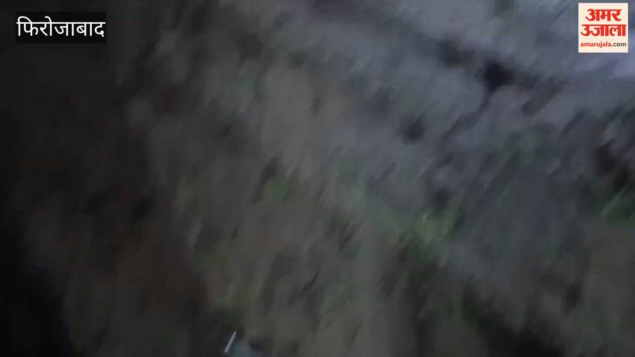 Crocodile Spotted in Firozabad Fields, Panic Grips Village Rescued at 2 AM