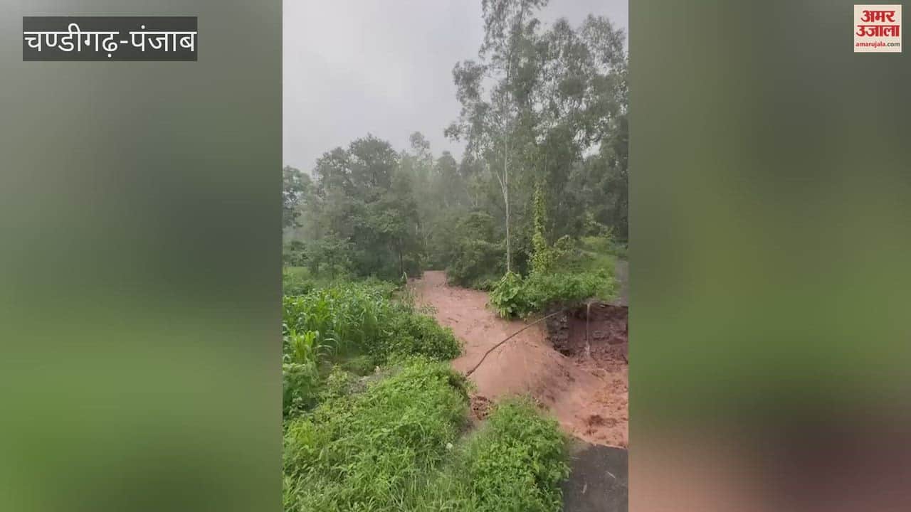 Rivers and streams overflow in Pathankot; water released towards Pakistan from Madhopur Headworks.