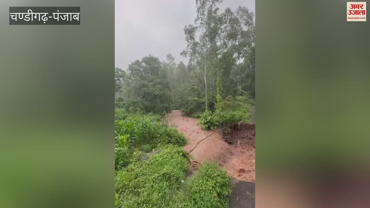 Rivers and streams overflow in Pathankot; water released towards Pakistan from Madhopur Headworks.