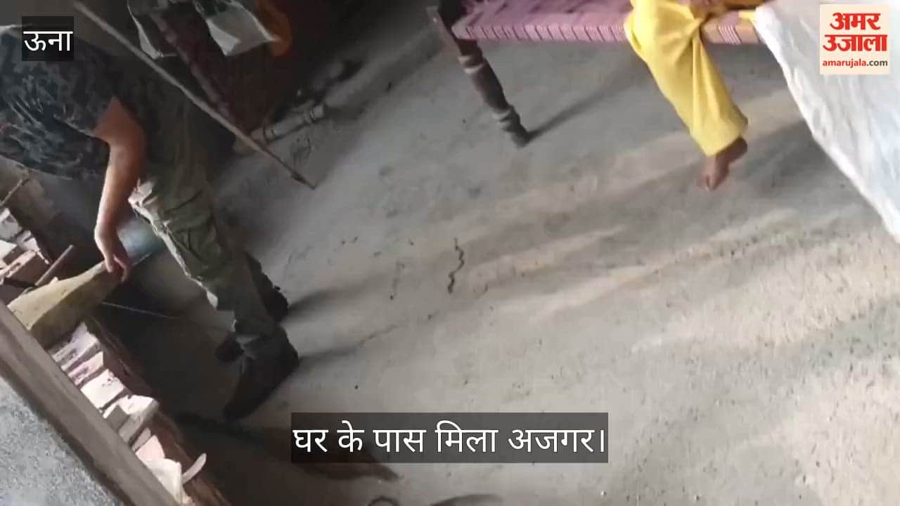 thanikpura house near python rescue una himachal