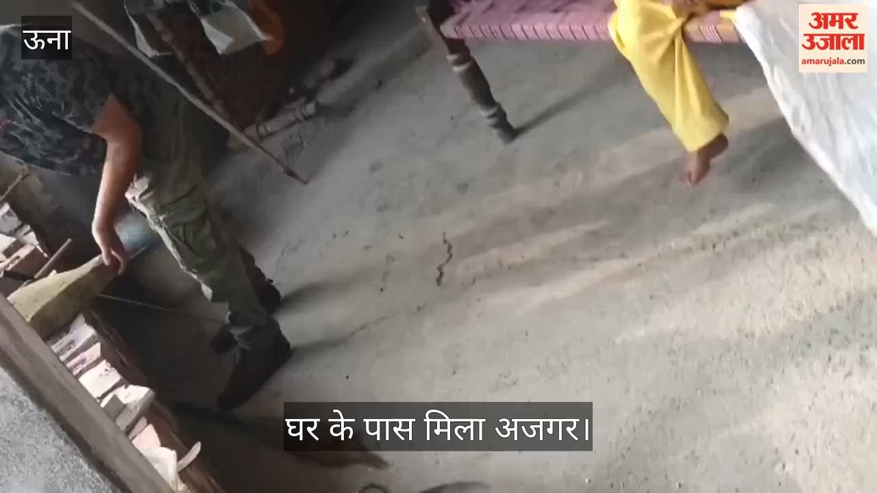 thanikpura house near python rescue una himachal