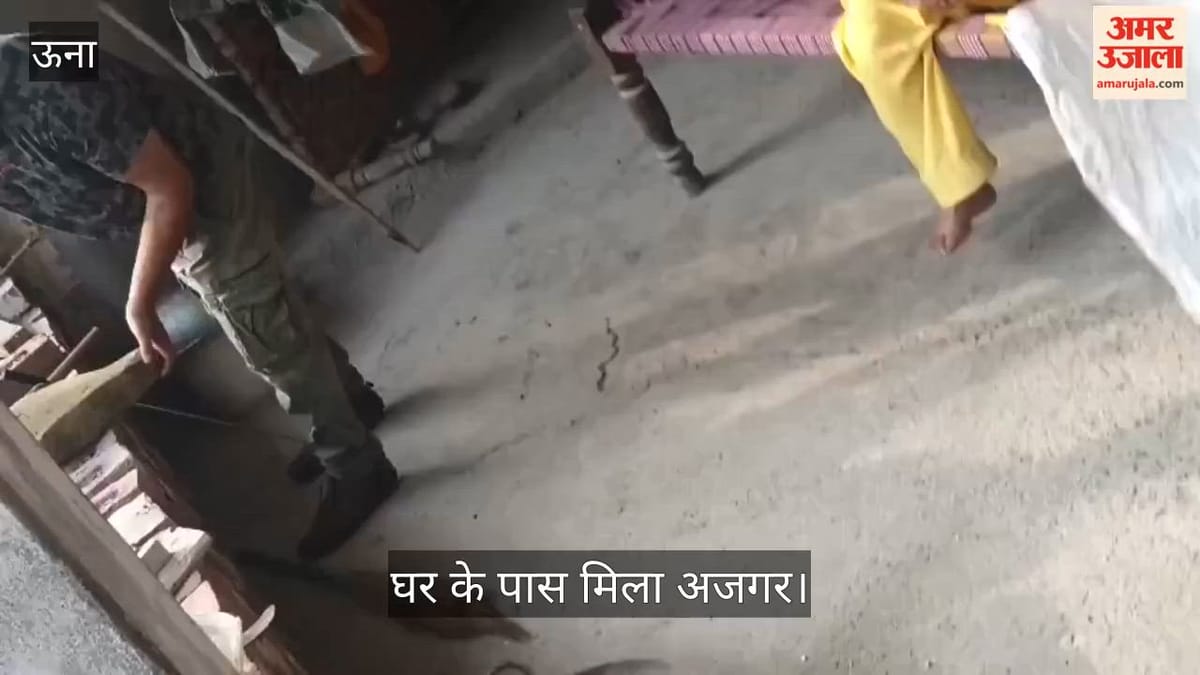Una: रात 2 बजे घर के पास दिखा अजगर, बाल्टी से ढककर रखा; सुबह वन विभाग ने सुरक्षित जंगल में छोड़ा
