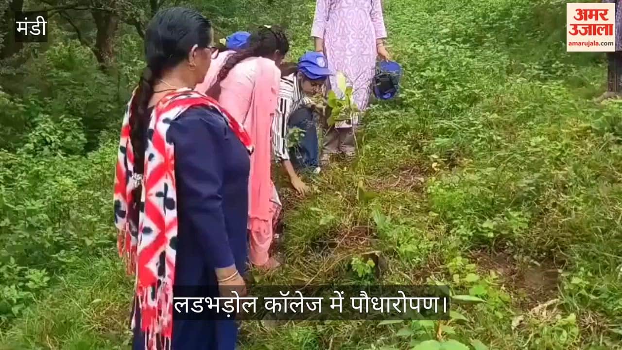 ladbhadol college nss plantation drive mandi himachal