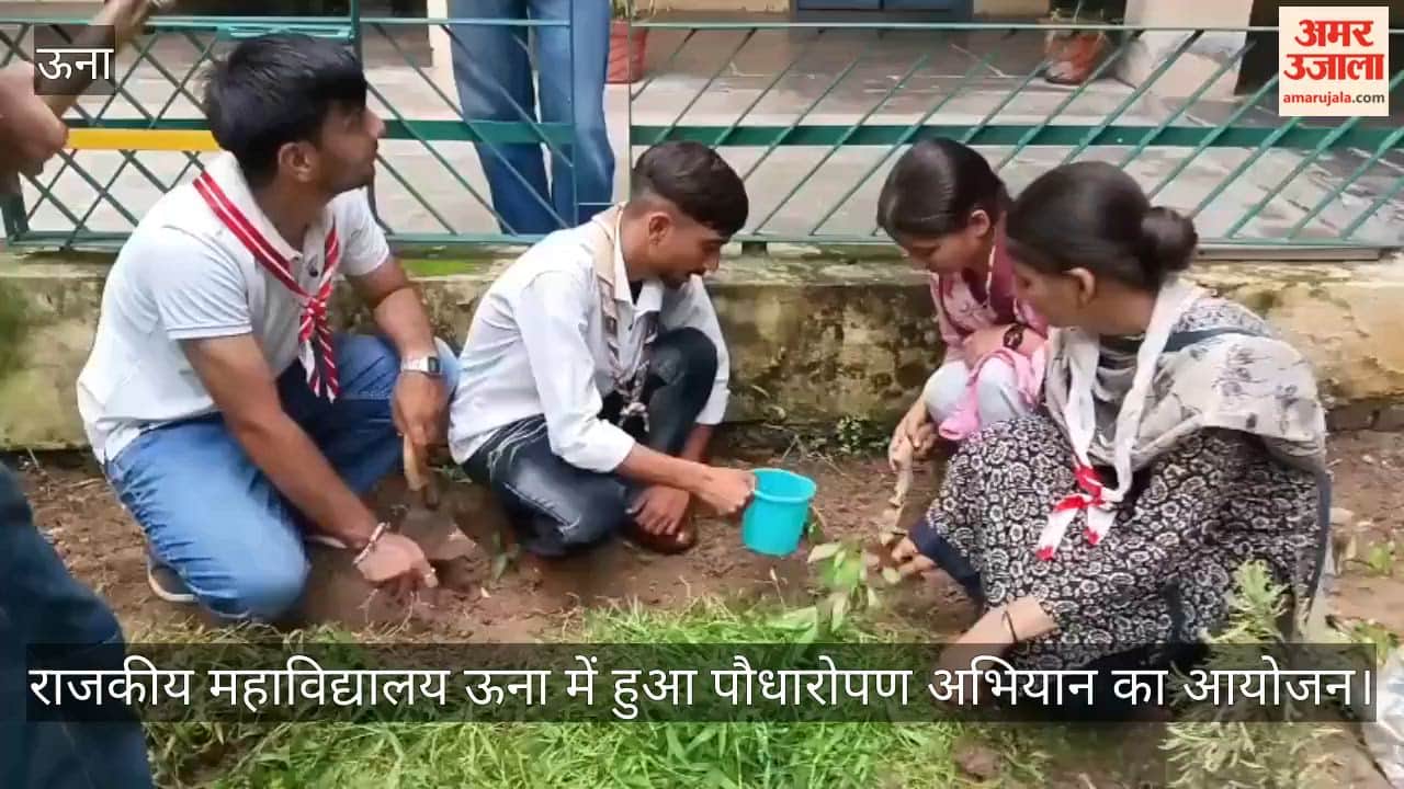 Tree plantation drive at Government College, Una: An effective initiative towards nature conservation.