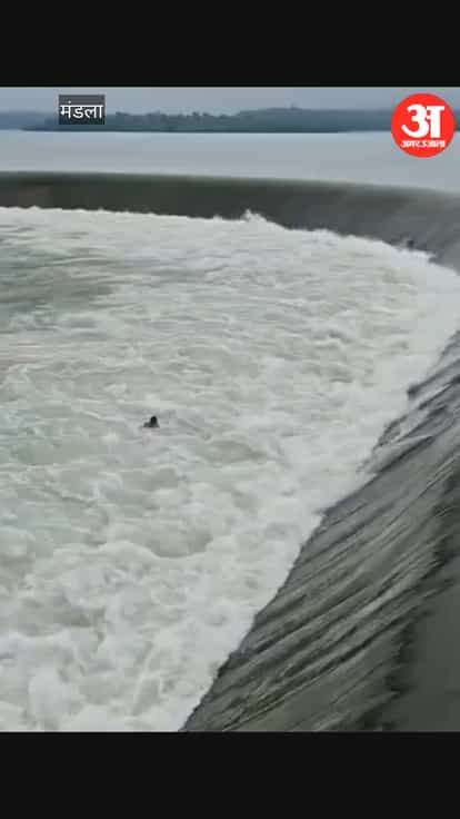 MP News Laborer Swept Away in Mandla Reservoir Strong Currents Rescue Operation Underway