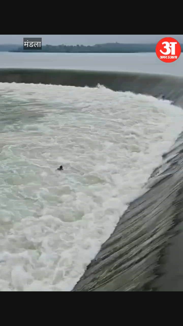 MP News Laborer Swept Away in Mandla Reservoir Strong Currents Rescue Operation Underway