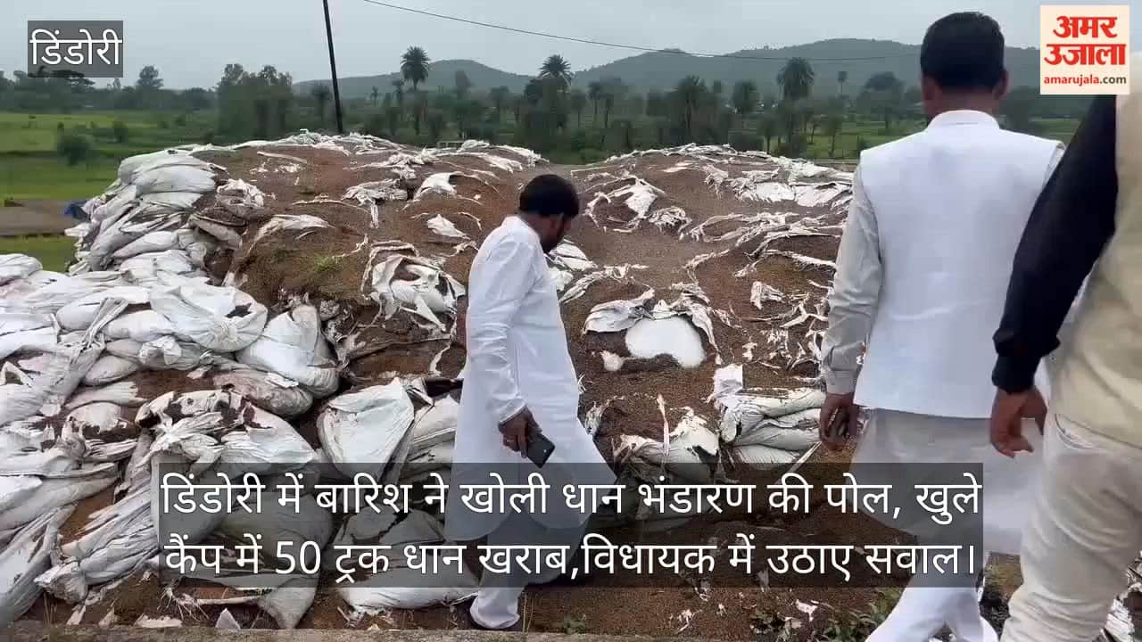 MP BJP MLA Lashes Out After Rains Ruin 50 Trucks of Paddy in Dindori Says Better if Distributed to Poor