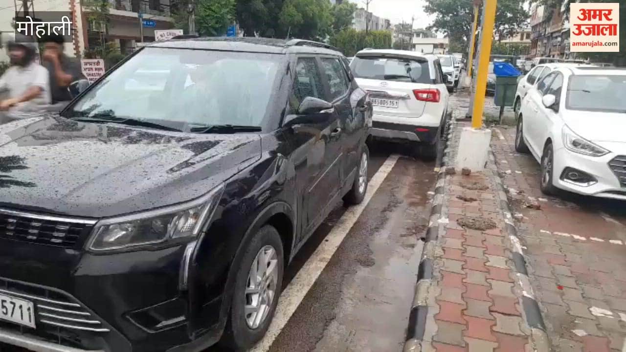 Vehicles parked on main market roads in Mohali; people facing inconvenience.