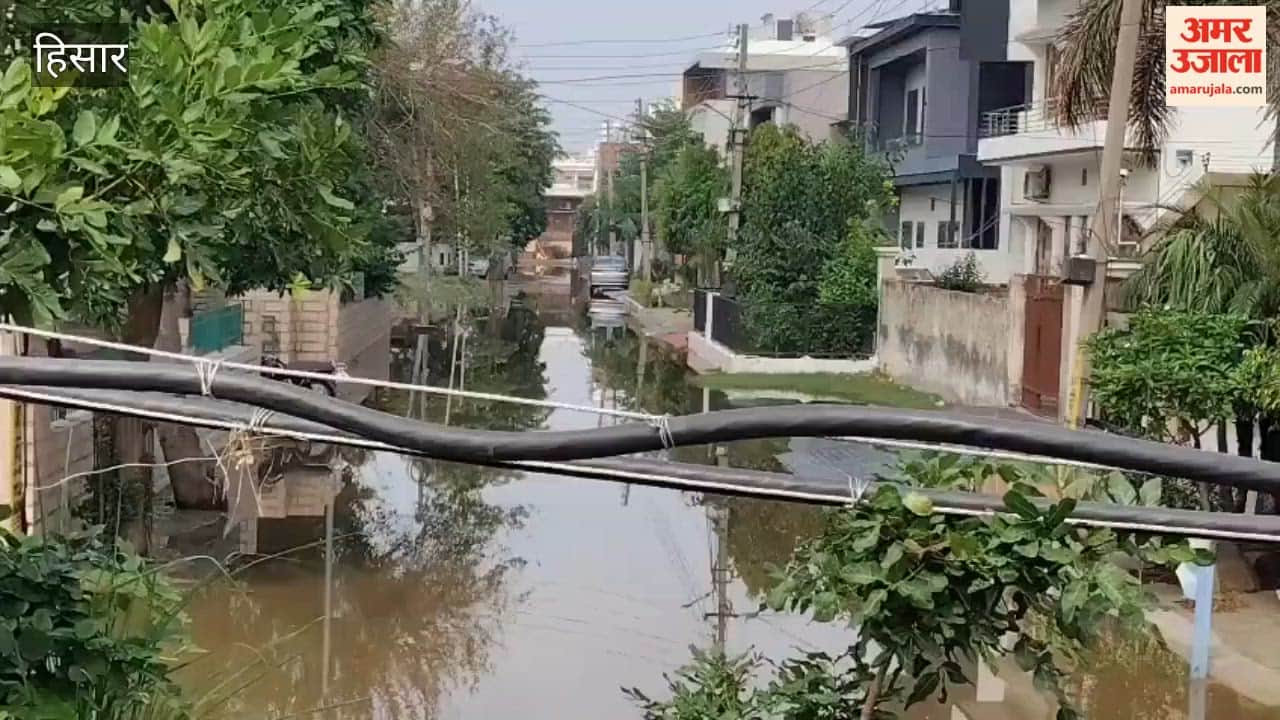 Rainwater drainage issue: Women took the lead on the Hansi-Jind road, while men blocked the road.