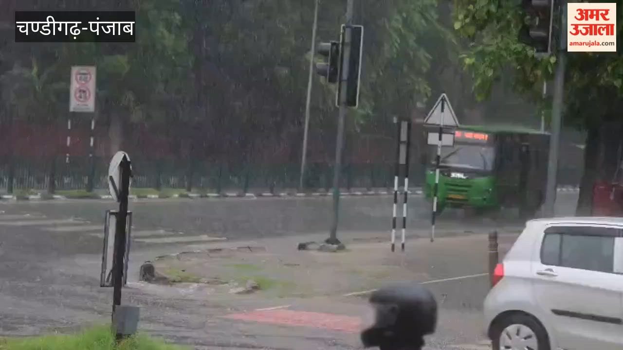 Rain in chandigarh
