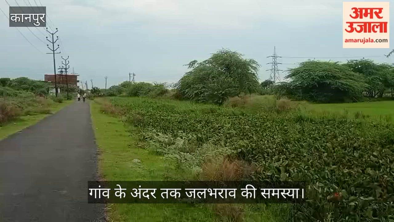 Rainwater Drain Serving 24 Villages Choked with Water Hyacinth, Uncleaned for 15 Years
